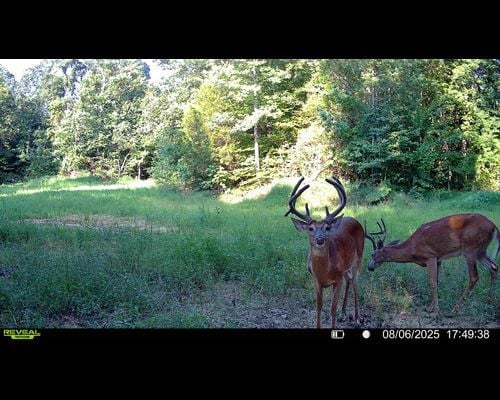 Ohio County, KY image