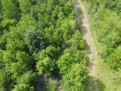 Lyon County, KY image