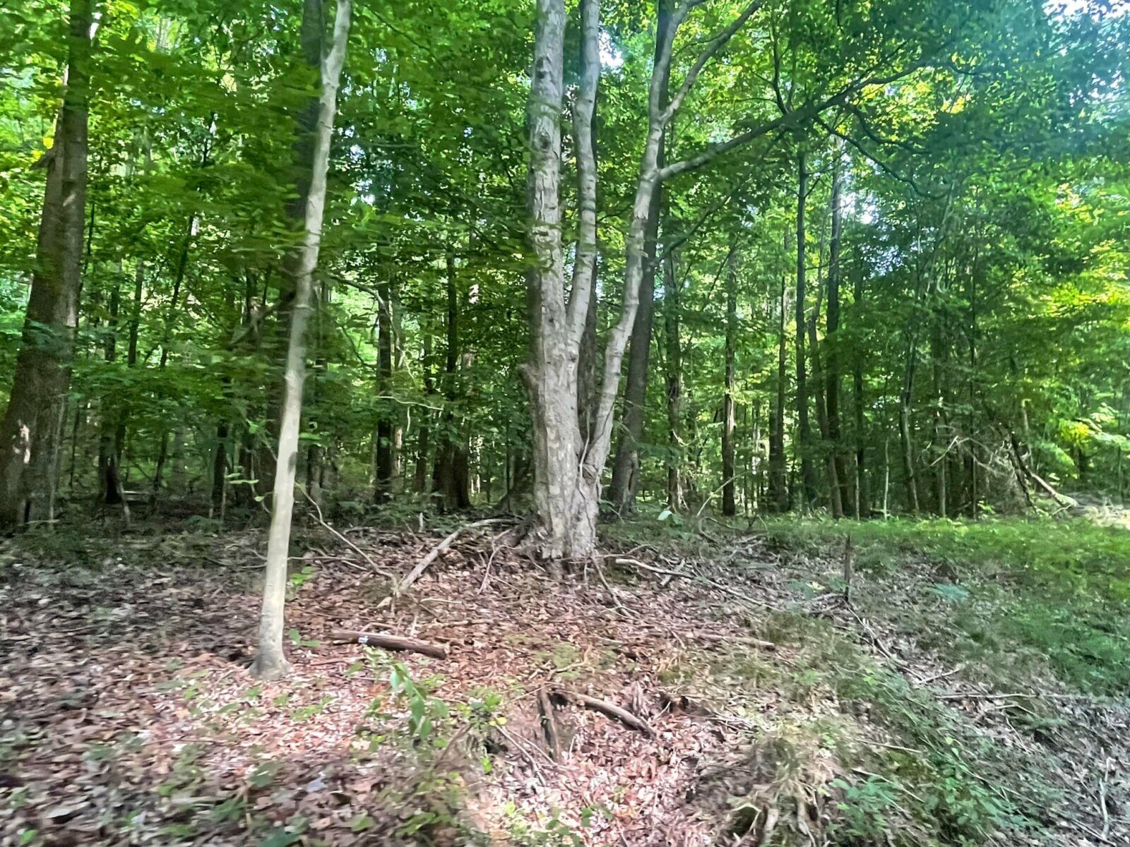 298084779_5675922195754375_8320607978300360467_n-1600x1200-1
