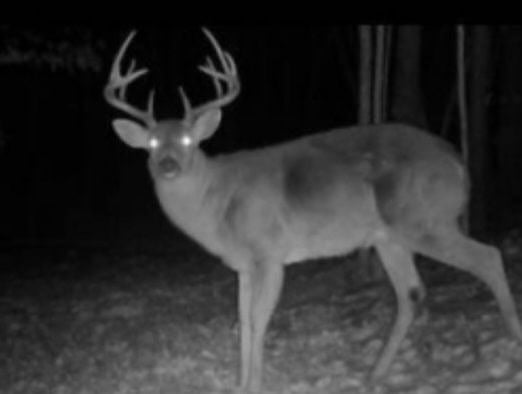 Ohio County, Kentucky image