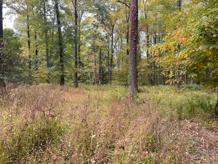 Carlisle County, KY image